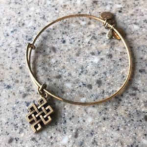 Alex and Ani “endless knot” bracelet